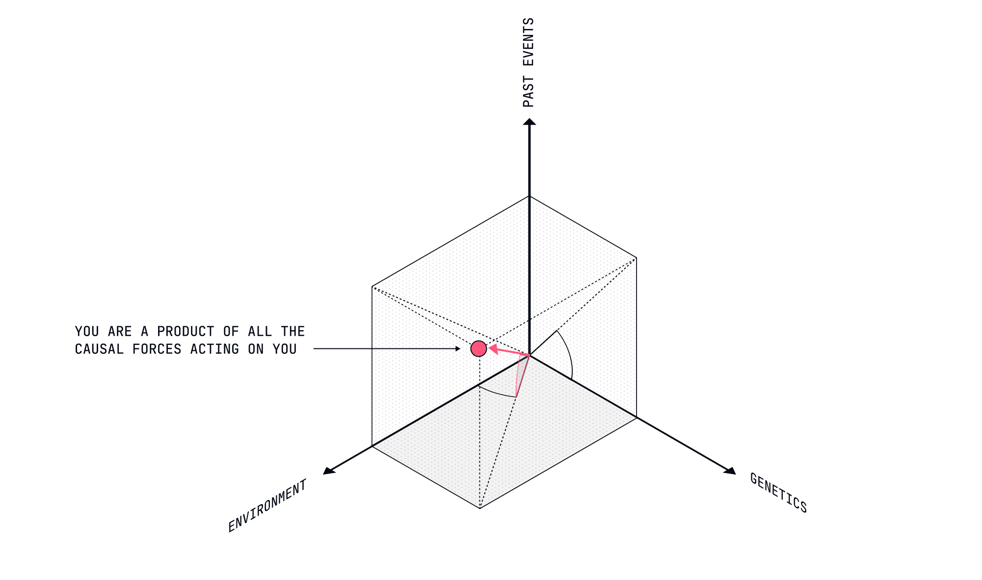 Causal Forces